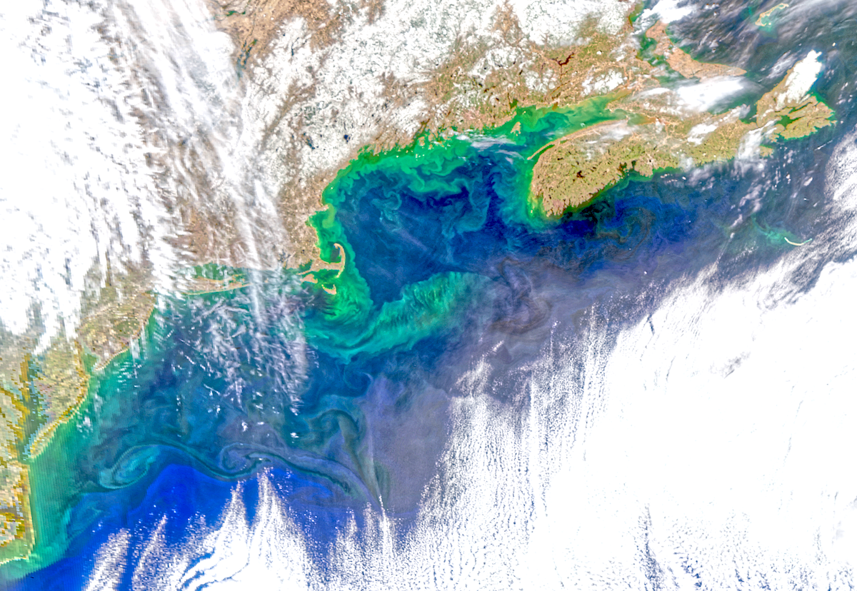 PACE Maine Spring Bloom 2024